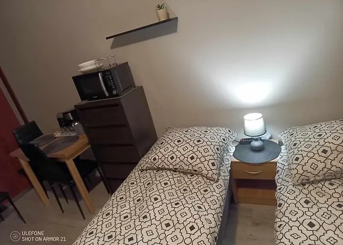 旅馆 Marek - Centrum 达尔沃沃